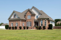 393 River Birch