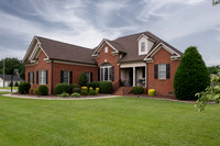 404 River Birch